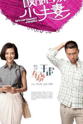 丹灶seo优化软件